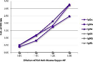ELISA plate was coated with purified mouse IgGκ, IgMκ, IgAκ, IgGλ, IgMλ, and IgAλ.