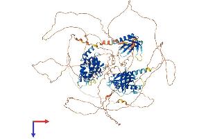AGAP2 Protein (AA 1-1192) (His tag)