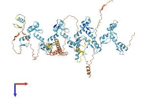 ZNF41 Protein (AA 1-821) (His tag)