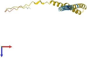 IFITM5 Protein (AA 1-132) (His tag)