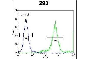FE Antibody (C-term) (ABIN651998 and ABIN2840489) flow cytometric analysis of 293 cells (right histogram) compared to a negative control cell (left histogram). (FAM26E Antikörper  (C-Term))