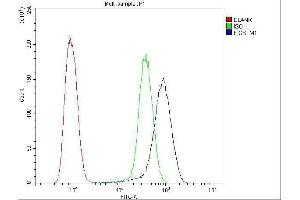 Flow Cytometry analysis of U20S cells using anti-GSTM1 antibody (ABIN5693233).