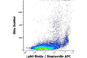 Flow cytometry surface staining pattern of murine peritoneal fluid cell suspension stained using anti-murine Ly6G (RB6-8C5) Biotin antibody (concentration in sample 1,0 μg/mL, Streptavidin APC). (Ly6g Antikörper  (Biotin))