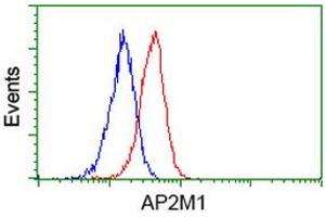 Flow Cytometry (FACS) image for anti-Adaptor-Related Protein Complex 2, mu 1 Subunit (AP2M1) (AA 97-383) antibody (ABIN1491720)