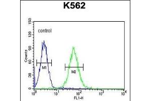 MIN Antibody (N-term) (ABIN654085 and ABIN2843973) flow cytometric analysis of K562 cells (right histogram) compared to a negative control cell (left histogram). (MINPP1 Antikörper  (N-Term))