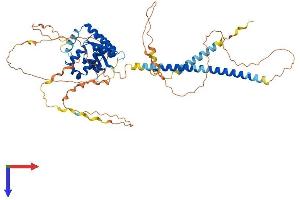 OTUD5 Protein (AA 1-566) (His tag)