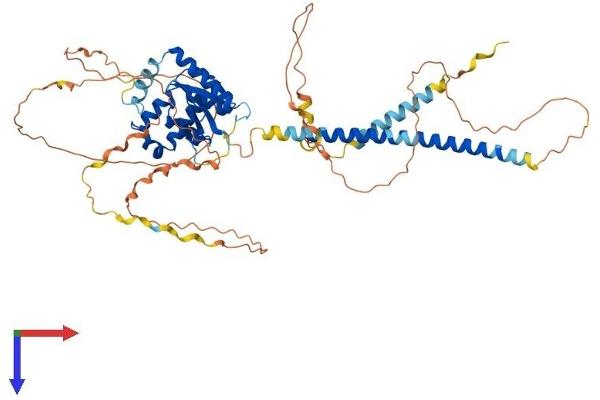 OTUD5 Protein (AA 1-566) (His tag)
