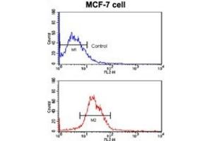 Flow Cytometry (FACS) image for anti-Kruppel-Like Factor 4 (Gut) (KLF4) antibody (ABIN2936746)