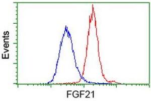Flow cytometric Analysis of Hela cells, using anti-FGF21 antibody (ABIN2454474), (Red), compared to a nonspecific negative control antibody, (Blue). (FGF21 Antikörper  (AA 29-209))