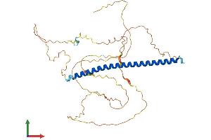 Protein Structure (PS) image for c-Fos (c-Fos) (AA 1-380) protein (His tag) (ABIN7562723)