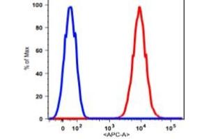 Flow Cytometry (FACS) image for anti-CD90 (THY1) antibody (APC) (ABIN2704361) (CD90 Antikörper  (APC))