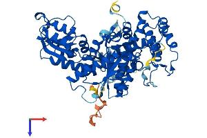 STXBP1 Protein (AA 1-594) (His tag)