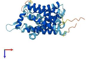 SLC35B1 Protein (AA 1-322) (His tag)