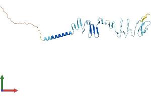 AlphaFold protein structure predicition of Mouse Recombinant Sgcg Protein, UniprotID P82348