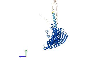 Protein Structure (PS) image for FK506 Binding Protein 4, 59kDa (FKBP4) (AA 1-459) protein (His tag) (ABIN7553922)