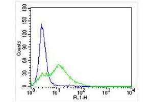 Overlay histogram showing U-87 MG cells stained with (ABIN6242283 and ABIN6578055) (green line). (DRD5 Antikörper  (C-Term))