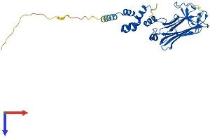 FBXO2 Protein (AA 1-296) (His tag)