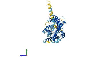 Protein Structure (PS) image for Purinergic Receptor P2Y, G-Protein Coupled, 10 (P2RY10) (AA 1-339) protein (His tag) (ABIN7550336)
