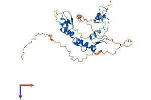 SLUG Protein (AA 1-269) (His tag)