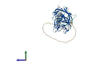 AlphaFold protein structure predicition of Human Recombinant SPRYD3 Protein, UniprotID Q8NCJ5