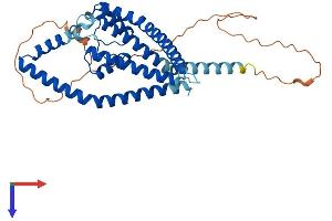 KCNK9 Protein (AA 1-374) (His tag)