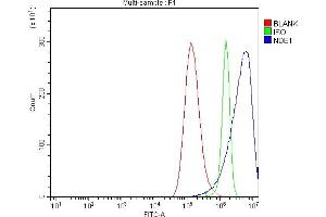 Flow Cytometry analysis of A549 cells using anti-NDE1 antibody (ABIN7602401).