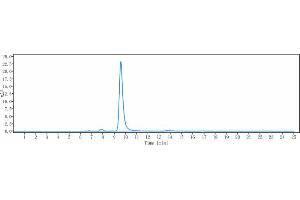 The purity of Anti-Hepcidin / HAMP Reference Antibody (LY2787106) is more than 95 % , determined by SEC-HPLC.