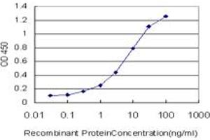 Detection limit for recombinant GST tagged ERMAP is approximately 0. (ERMAP Antikörper  (AA 376-475))