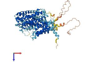 SLC7A4 Protein (AA 1-635) (His tag)