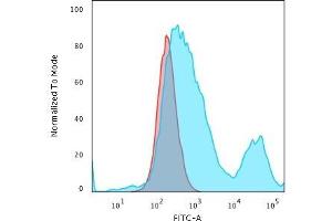 Flow Cytometric Analysis of PFA-fixed HeLa cells using Cytokeratin 18 Mouse Monoclonal Antibody (C-04) followed by Goat anti-Mouse IgG-CF488 (Blue); Isotype Control (Red) (Cytokeratin 18 Antikörper)