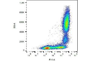 Surface staining of human peripheral blood with anti-human CD11b (MEM-174) APC. (CD11b Antikörper  (APC))