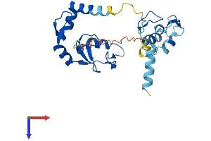 RNF114 Protein (AA 1-228) (His tag)