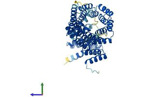 Protein Structure (PS) image for Interferon-Induced Protein with Tetratricopeptide Repeats 1 (IFIT1) (AA 1-463) protein (His tag) (ABIN7563985)