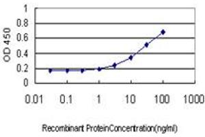 ELISA image for anti-Core 1 Synthase, Glycoprotein-N-Acetylgalactosamine 3-beta-Galactosyltransferase, 1 (C1GALT1) (AA 264-364) antibody (ABIN466227) (C1GALT1 Antikörper  (AA 264-364))