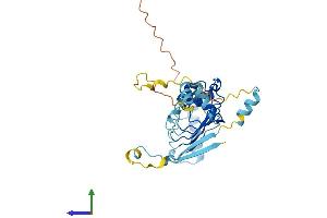 AlphaFold protein structure predicition of Human Recombinant LRRC72 Protein, UniprotID A6NJI9