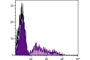 Rabbit peripheral blood lymphocytes were stained with Mouse Anti-Rabbit RLA-DQ-FITC. (RLA-DQ Antikörper  (Biotin))