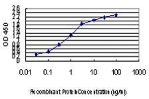 Detection limit for recombinant GST tagged IRX5 is approximately 0. (IRX5 Antikörper  (AA 204-264))