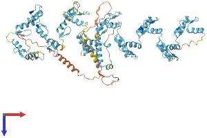 AlphaFold protein structure predicition of Human Recombinant ZNF616 Protein, UniprotID Q08AN1