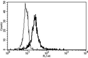 Flow Cytometry (FACS) image for anti-Thrombomodulin (THBD) antibody (FITC) (ABIN1105880)