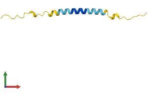 AlphaFold protein structure predicition of Human Recombinant TMA7 Protein, UniprotID Q9Y2S6 (TMA7 Protein (AA 1-64) (Fc Tag))