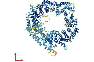 AlphaFold protein structure predicition of Human Recombinant RANBP17 Protein, UniprotID Q9H2T7