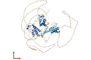 AlphaFold protein structure predicition of Mouse Recombinant Brd2 Protein, UniprotID Q7JJ13 (BRD2 Protein (AA 1-798) (His tag))