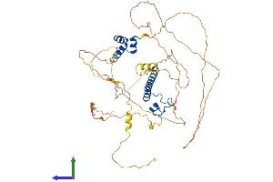 Protein Structure (PS) image for DMRT-Like Family A2 (DMRTA2) (AA 1-531) protein (His tag) (ABIN7561880)