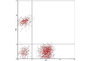 Flow Cytometry (FACS) image for anti-CD3/CD19 (CD3/CD19) antibody (FITC,PE) (ABIN2144405) (CD3 + CD19 Antikörper  (FITC,PE))