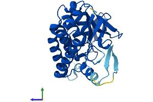 Protein Structure (PS) image for Patatin-Like phospholipase Domain Containing 4 (PNPLA4) (AA 1-253) protein (His tag) (ABIN7550783)