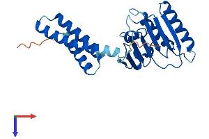 MITD1 Protein (AA 1-249) (His tag)