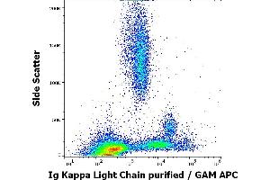 Flow cytometry surface staining pattern of human peripheral whole blood stained using anti-human Ig Kappa Light Chain (A8B5) purified antibody (concentration in sample 4 μg/mL, GAM APC). (kappa Light Chain Antikörper)
