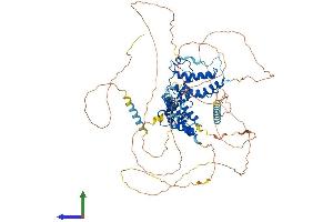 AlphaFold protein structure predicition of Mouse Recombinant Brd2 Protein, UniprotID Q7JJ13 (BRD2 Protein (AA 1-798) (His tag))