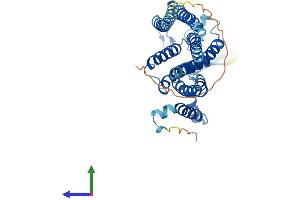Protein Structure (PS) image for Translocation Associated Membrane Protein 2 (TRAM2) (AA 1-370) protein (His tag) (ABIN7544742)
