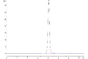 Size-exclusion chromatography-High Pressure Liquid Chromatography (SEC-HPLC) image for EPH Receptor A5 (EPHA5) (AA 26-573) protein (His tag) (ABIN7274558)